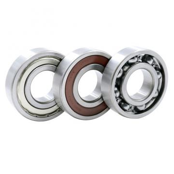 NSK 6309-DDU JAPAN  Bearing 45×100×25