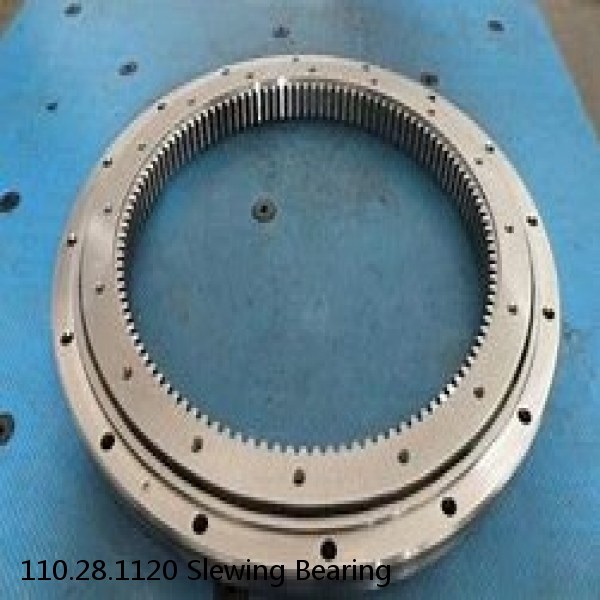 110.28.1120 Slewing Bearing