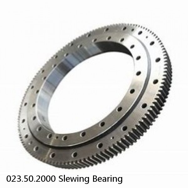 023.50.2000 Slewing Bearing