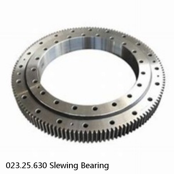023.25.630 Slewing Bearing