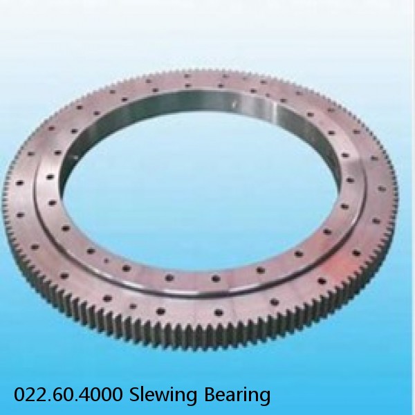 022.60.4000 Slewing Bearing