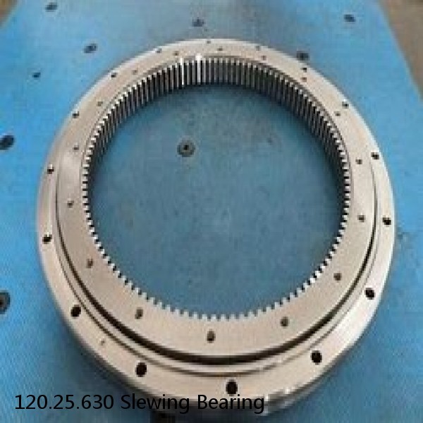 120.25.630 Slewing Bearing